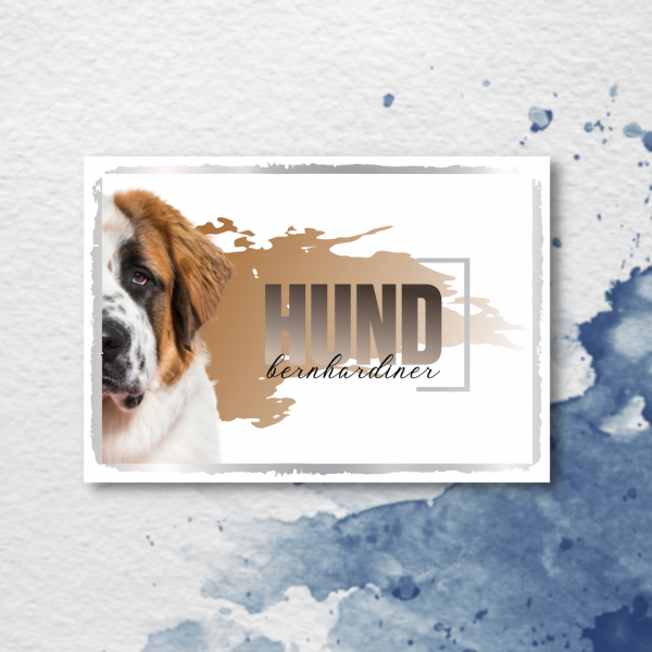 SeeleD_Bernhardiner3