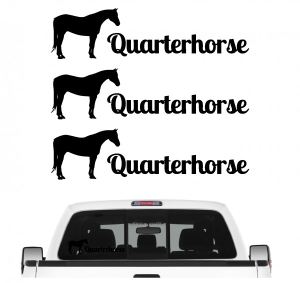 Quarterhorse Sportpferd American Quarter Horse Freizeit Reiten Pferdesport Familienpferd Aufkleber 3er Set Pferdeaufkleber Pferd reiten Auto Folie by SIVIWONDER