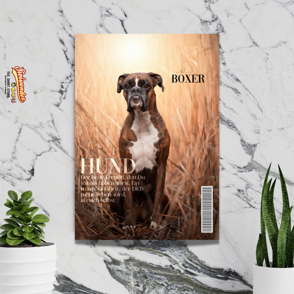 SchildMagazin_Boxer2