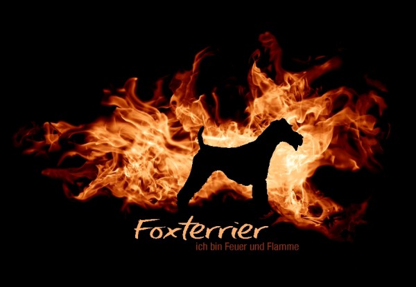 UTFlamme_FoxterrierMo