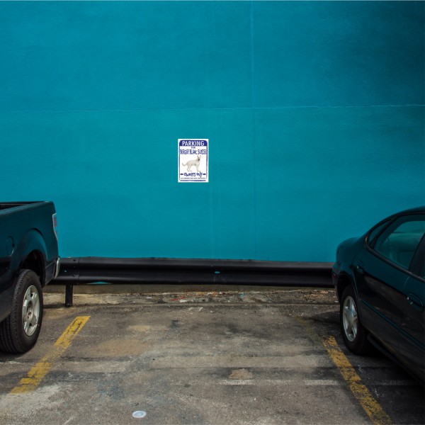 Berger Blanc Suisse Weis Weiß Parking Schild Achtung Spruch Warnschild Türschild Fun