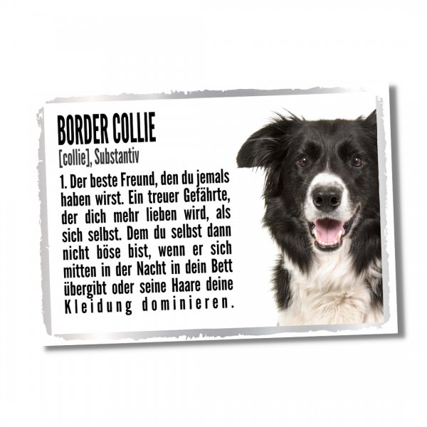 Duden_BorderCollie1