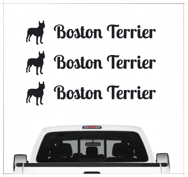 A_3er_BostonTerrierB
