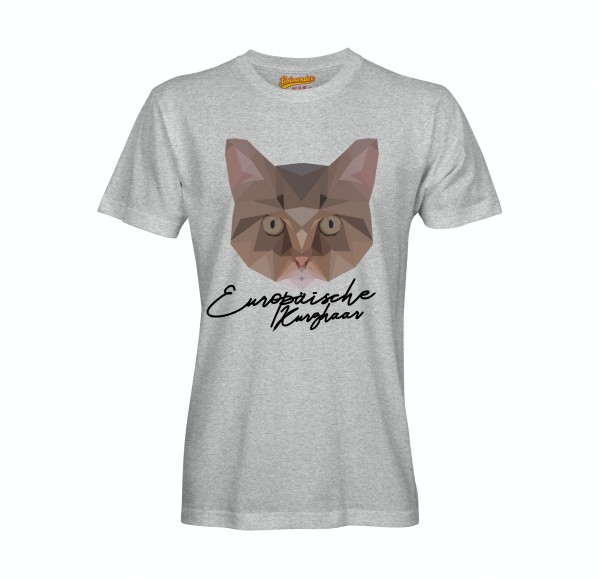 UT_Europ-ischeKurzhaarAsh