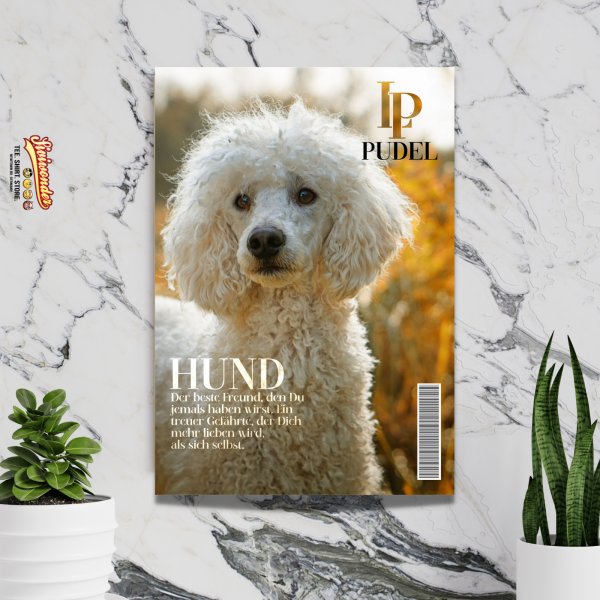 SchildMagazin_PudelW2