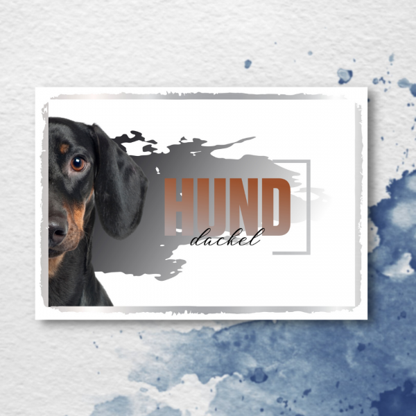 SeeleD_Dackel3