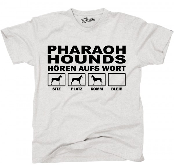 UTHAWPharaohHoundAS