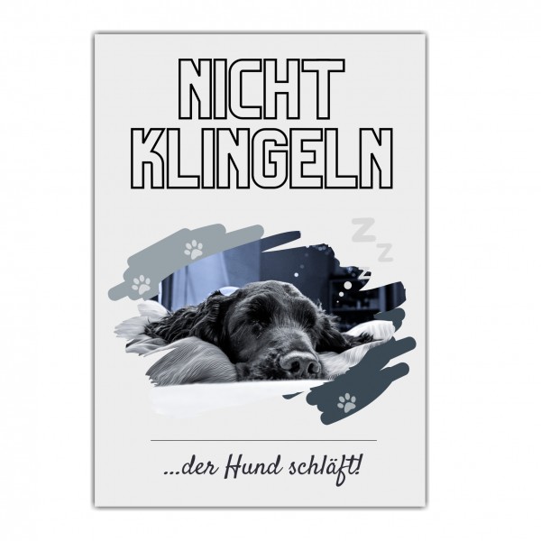 Cocker Spaniel Cockie Spanier English Hund nicht klingeln schlafen Schild Dog Hund Spruch Türschild Hundeschild Wall Art Gefährte