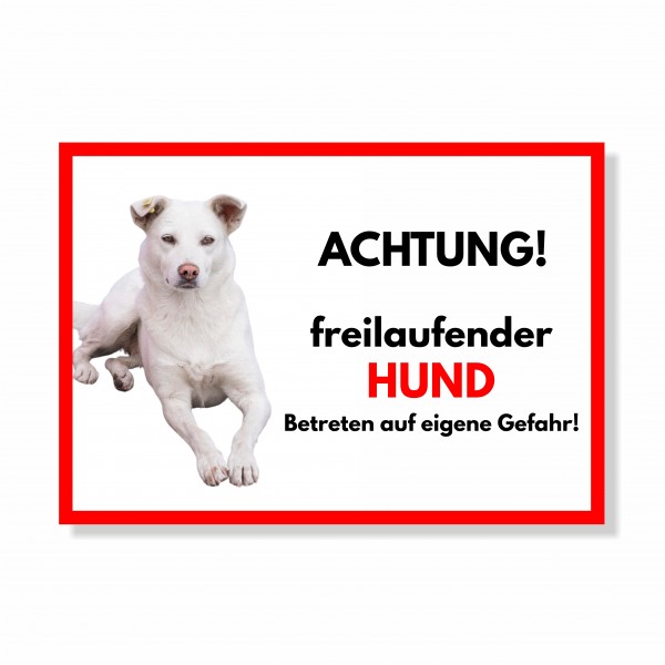 SchildFrei_Hund2_1