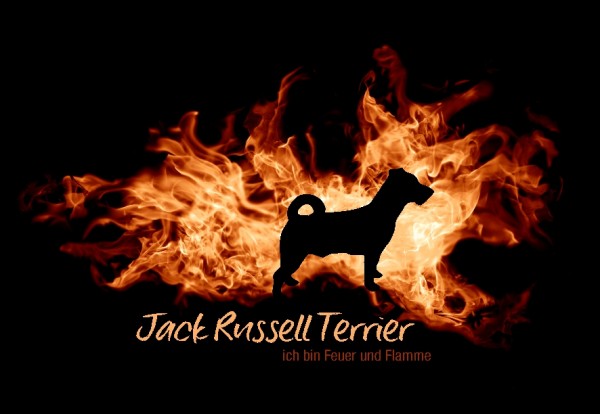 UTFlamme_JackRussellMo