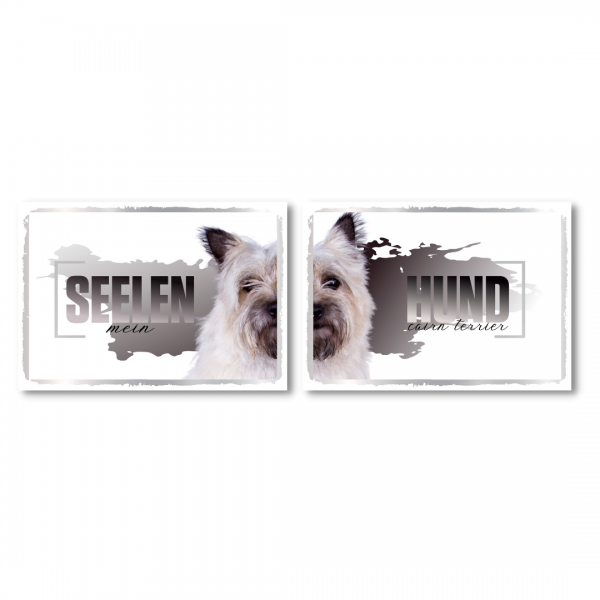 SeeleD_CairnTerrier1