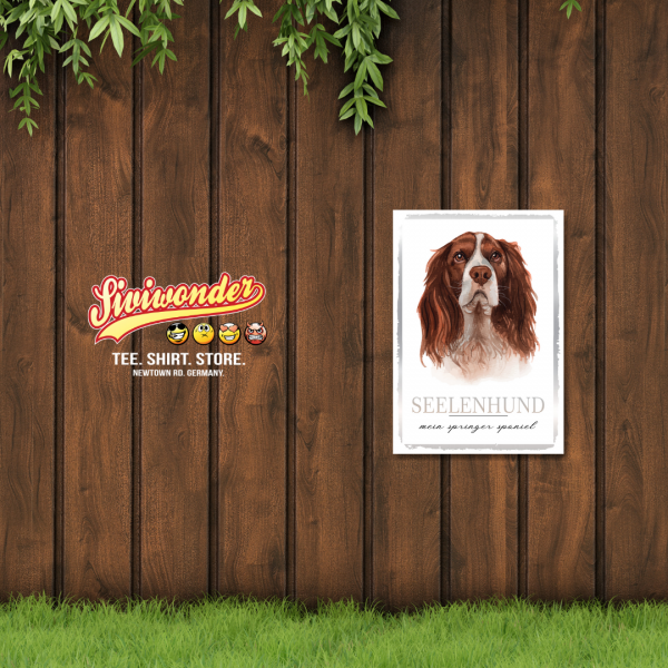 SeeleW_SpringerSpaniel2