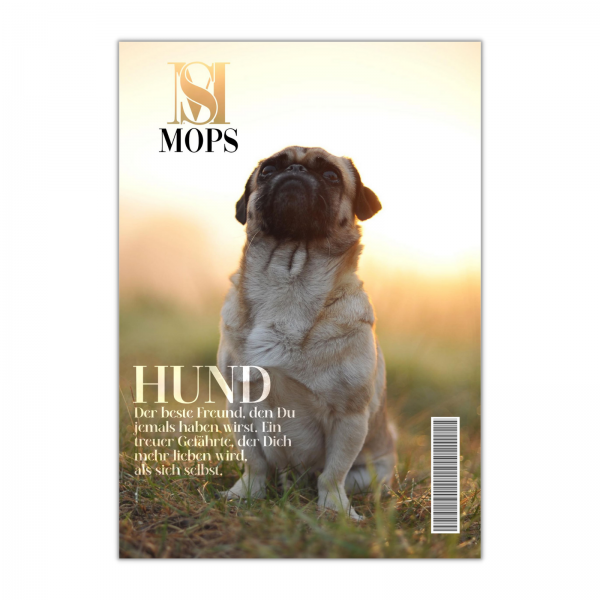 SchildMagazin_Mops1