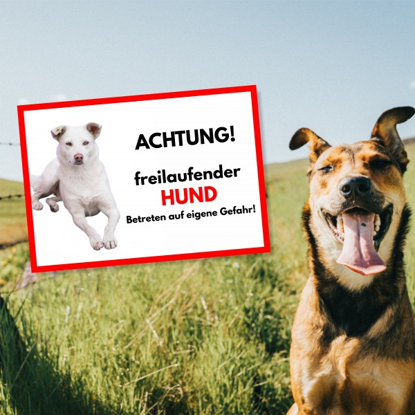 SchildFrei_Hund2_2