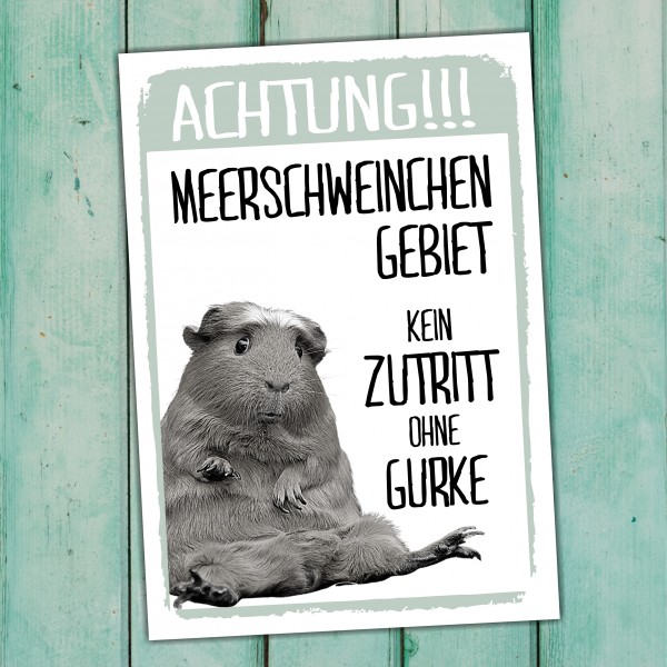 Meerschwein Gebiet - kein Zutritt ohne Gurke Sprüche Türschild Warnschild Spruch Schild happy Design by Siviwonder