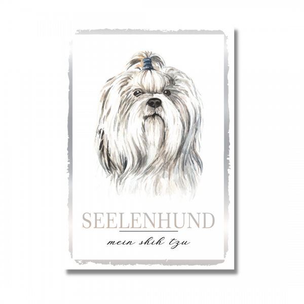 SeeleW_ShihTzu1