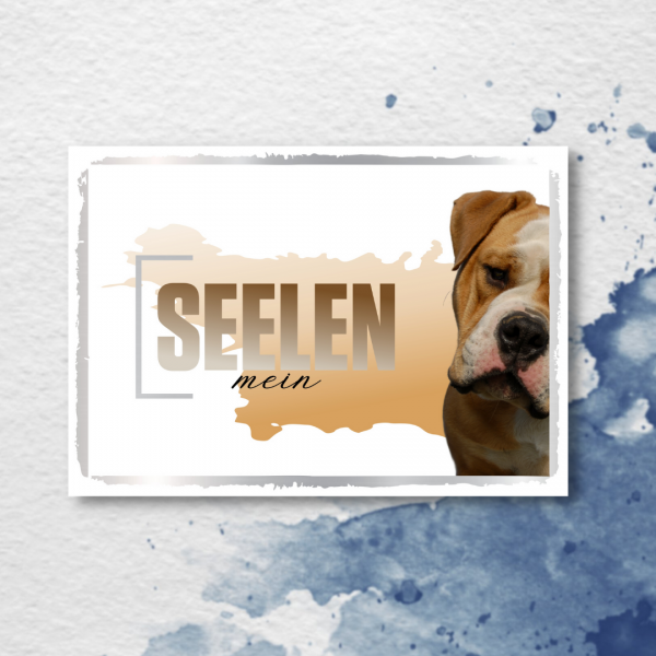SeeleD_OldEngBulldog2
