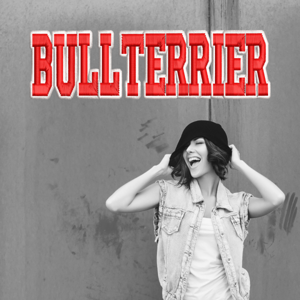 ExBeanie_Bullterrier2