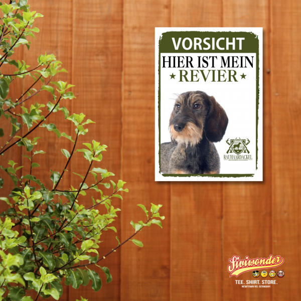 SchildRevier_Rauhaardackel2