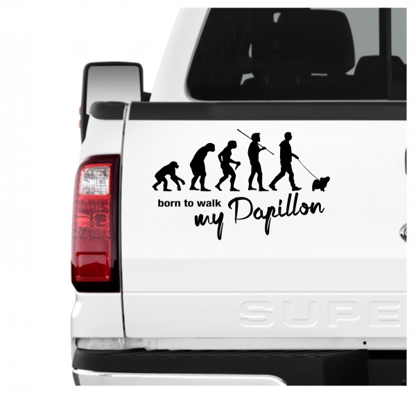 Papillon Zwergspaniel Kontinentaler Phalene Evolution Born to Walk Hunde Aufkleber Sticker Autoaufkleber Wandtattoo Tattoo