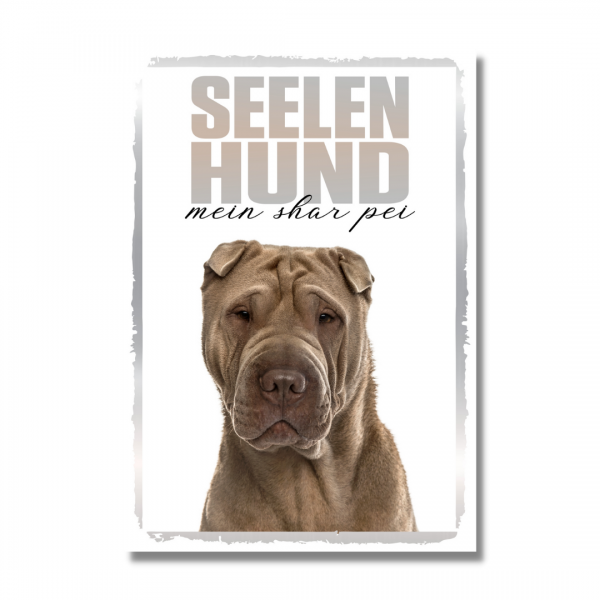 SeeleR_SharPei1