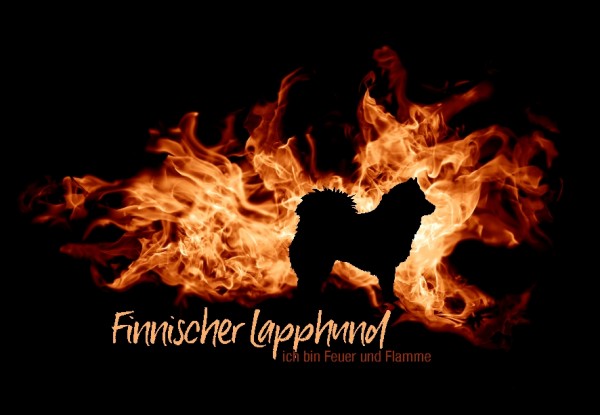 UTFlamme_FinnLapphMo