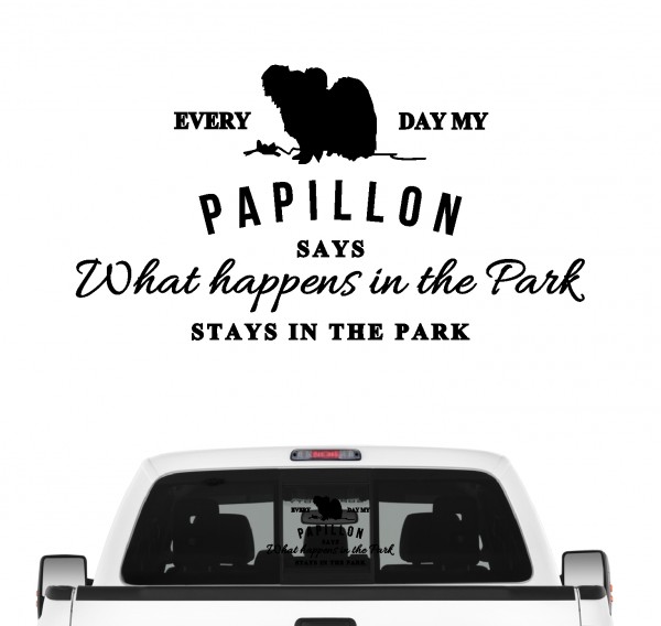 AVL_Papillon_b5e732f27ec750