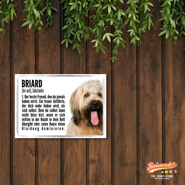 Duden_Briard26139b57112b3d