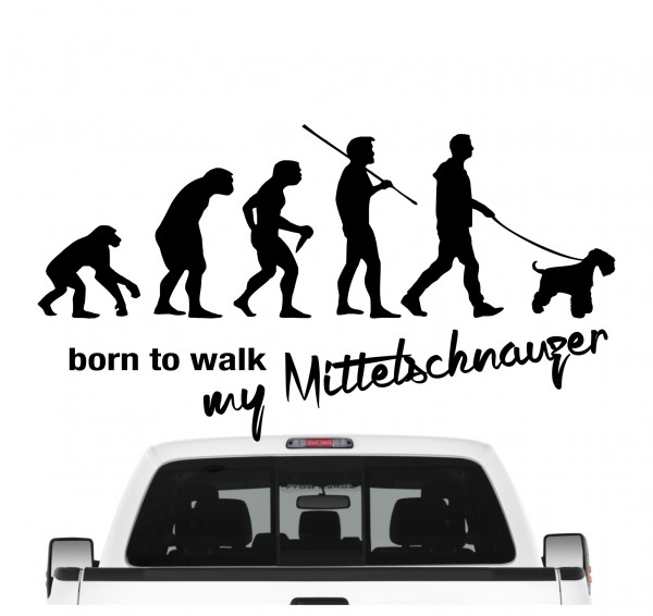 Mittelschnauzer Schnauzer Mittel Evolution Born to Walk Hunde Aufkleber Sticker Autoaufkleber Wandtattoo Tattoo
