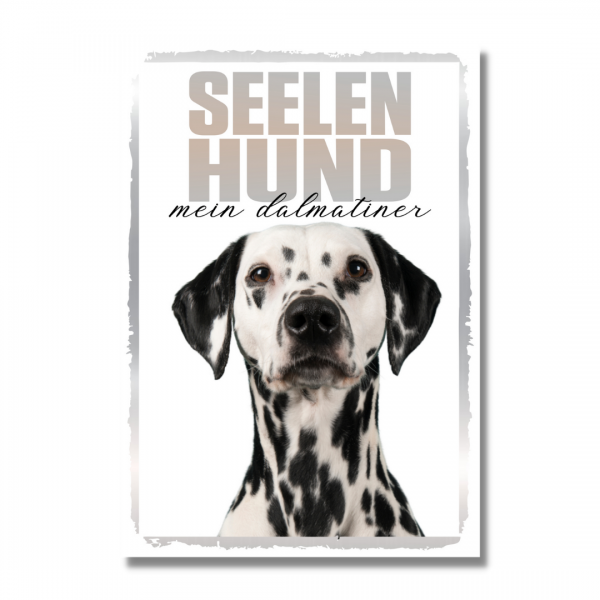 SeeleR_Dalmatiner1