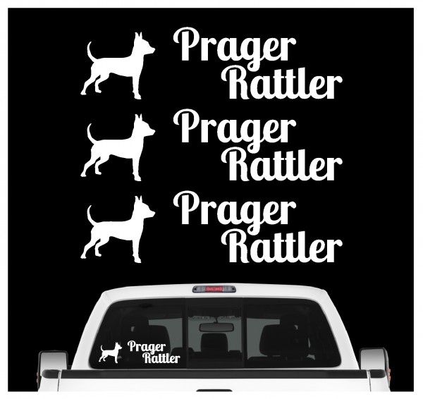 A_3er_PragerRattlerW
