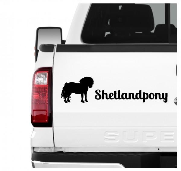 A3erPF_Shetlandpony1