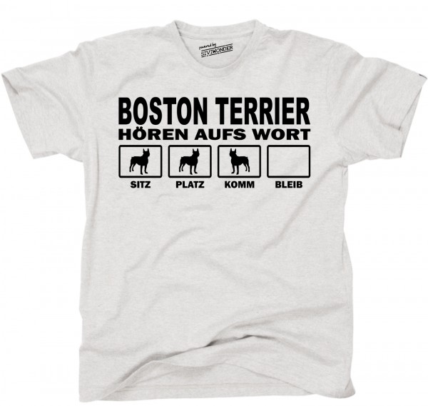 UTHAWBostonTerrierAS