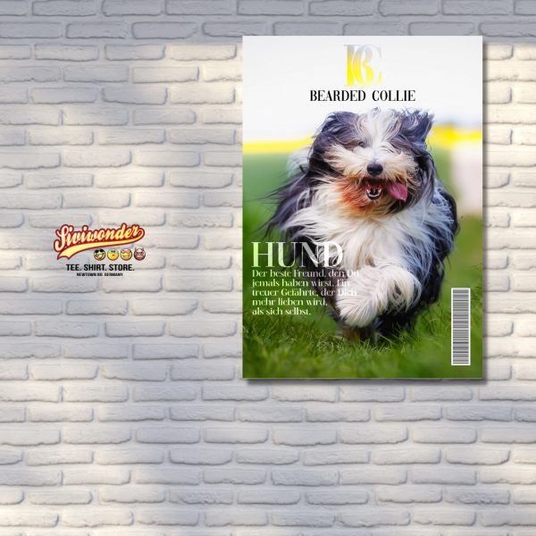 SchildMagazin_BeardedCollie3