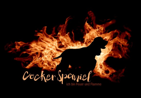 UTFlamme_CockerSpanielMo
