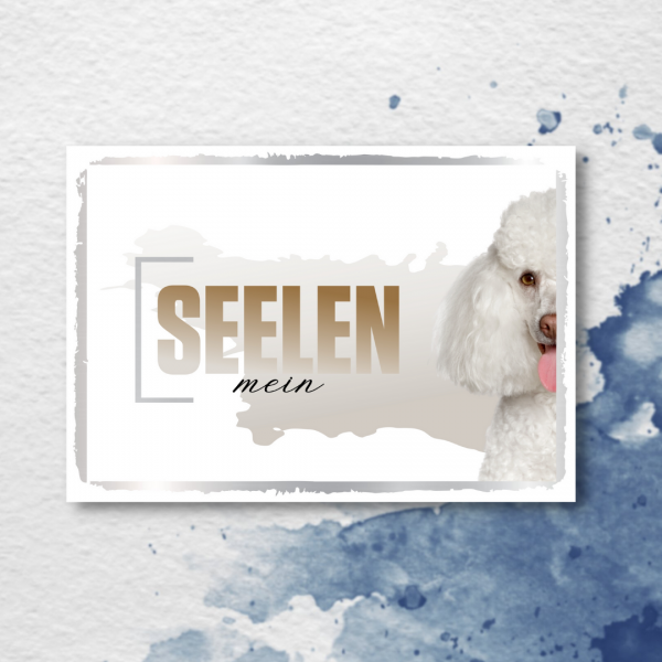 SeeleD_PudelW2