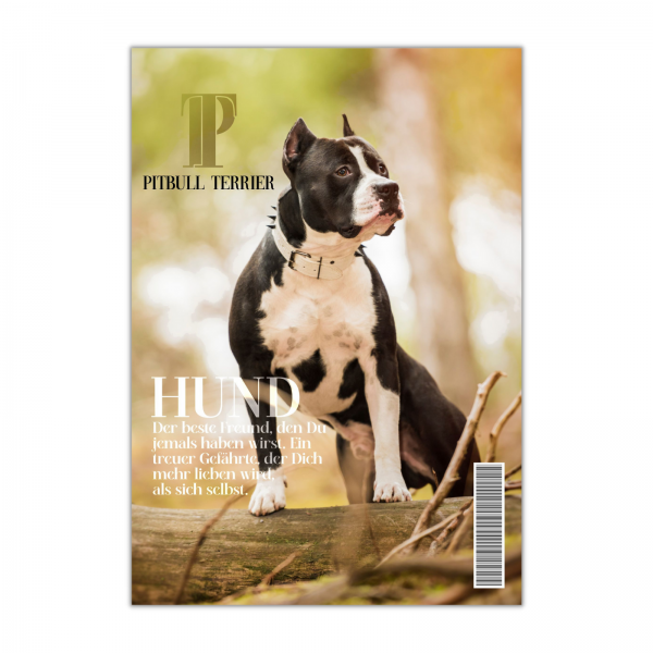 SchildMagazin_PitbullTerrier1
