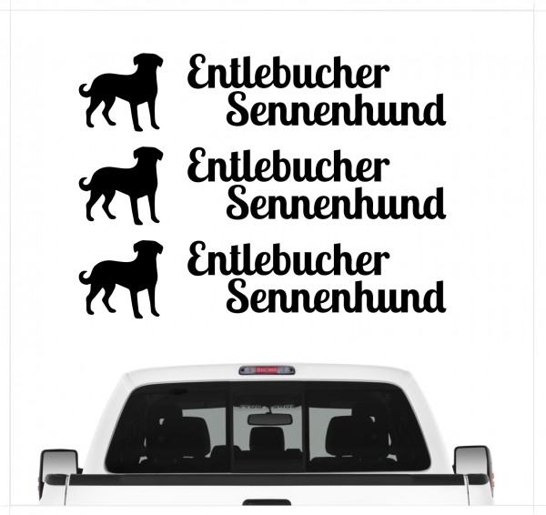 A_3er_EntlebucherSennenB