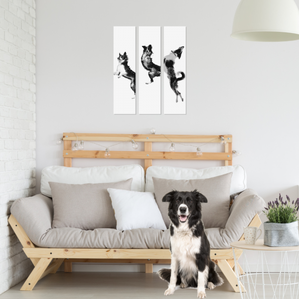 Border Collie Sheepdog Scotch Sheep Dog Schild Jump Set Wandschild Hundeschild Fun cool Schilder happy Design by Siviwonder