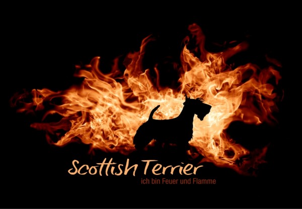 UTFlamme_ScottishTerrMo