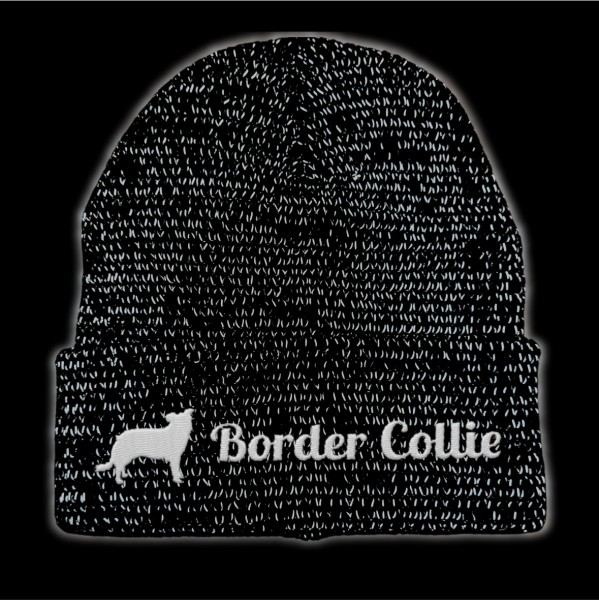 RefBeane_BorderCollie2