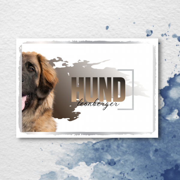 SeeleD_Leonberger3