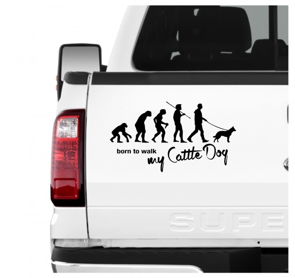 Australian Cattle Dog ACD Cattle Dog Blue Heeler Red Heeler Queensland Heeler Australischer Treibhund Evolution Born to Walk Hunde Aufkleber Sticker Autoaufkleber Wandtattoo Tattoo