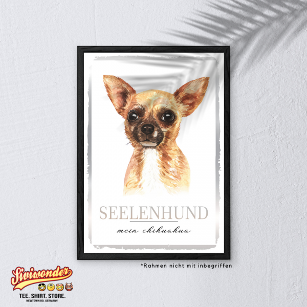 SeeleW_Chihuahua3