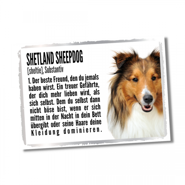 Duden_Sheltie1