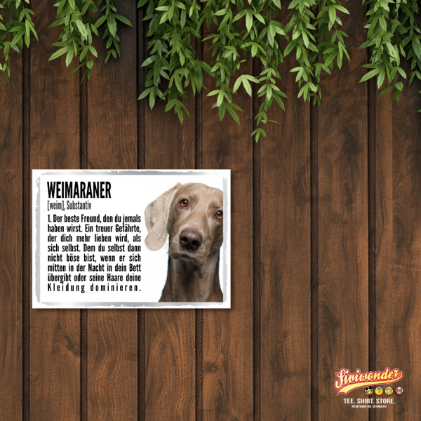 Duden_Weimaraner2