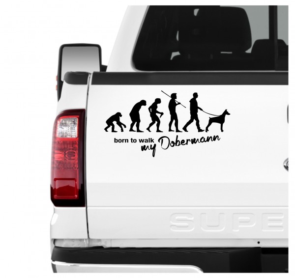 Dobermann Kupiert Dobi Dobie Doberman Pinscher Evolution Born to Walk Hunde Aufkleber Sticker Autoaufkleber Wandtattoo Tattoo