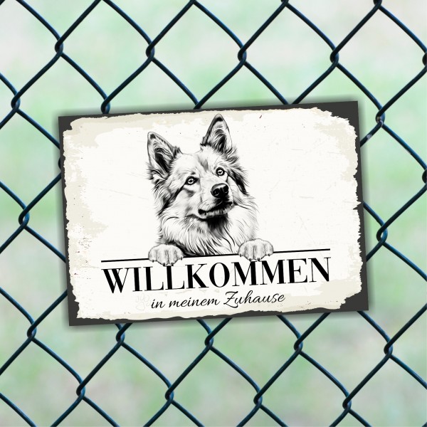 Hundeschild Willkommen Zuhause Islandhund Spitz Schild