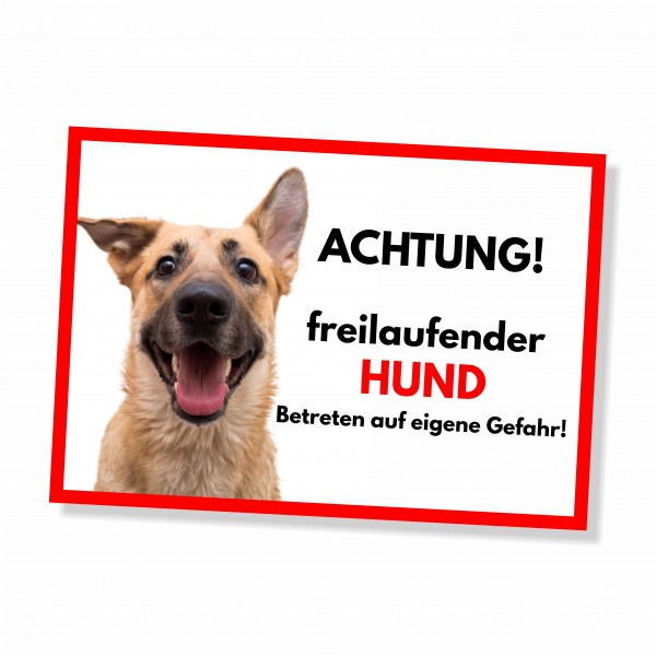 SchildFrei_Hund1