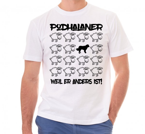 T_Sheep_PodhalanderW